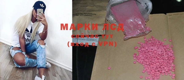 индика Зерноград