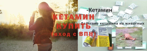 индика Зерноград