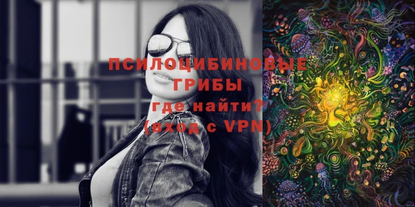 индика Зерноград