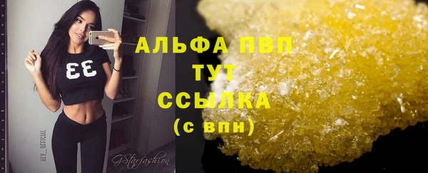 индика Зерноград