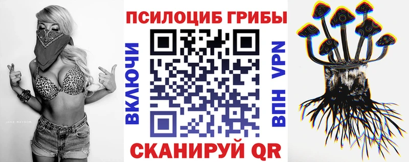 Псилоцибиновые грибы MAGIC MUSHROOMS  Купить где  Плёс 